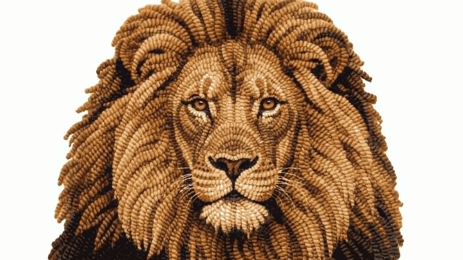A lion's face rendered by Rug Hook Studio as a hooked rug, every loop of wool distinct